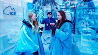 Book Fitzroy Accommodation Vacations Find Attractions Find Attractions