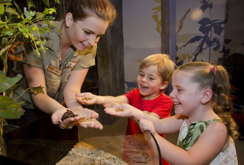 WILD LIFE Sydney Zoo - Find Attractions 1