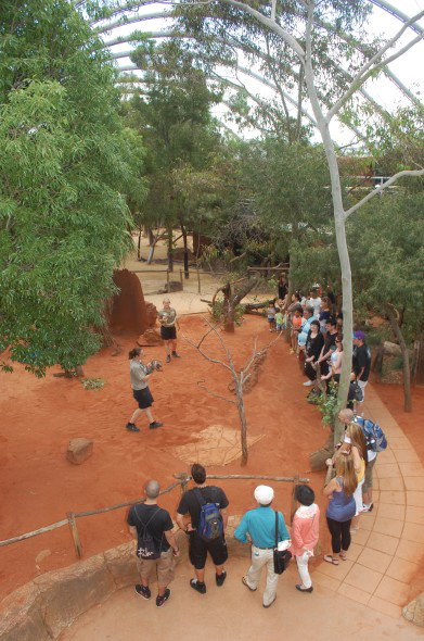 WILD LIFE Sydney Zoo - Find Attractions 2