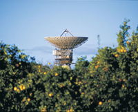 Big Dish