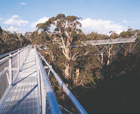 Walpole-Nornalup National Park - Find Attractions 0