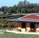 Vineyard 28 - Find Attractions