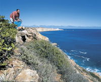 Cape Cuvier Coast