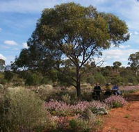 Karlkurla Bushland Park - Find Attractions