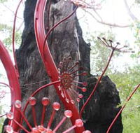 Understory Art In Nature - Find Attractions