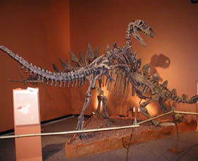 Denmark Dinosaur World - Find Attractions 0