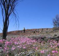 Talgomine Reserve - Find Attractions