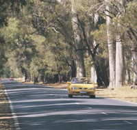 Ludlow Tuart Forest - Find Attractions