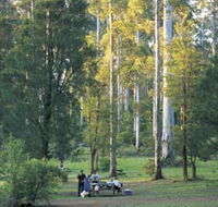 Big Brook Arboretum - Find Attractions