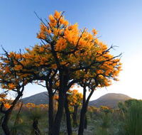 Cape Le Grand National Park - Find Attractions