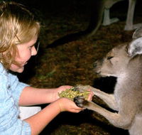 Discovery Bay's Walk on the Wild Side - Find Attractions