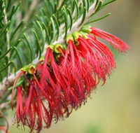 Ethel Daw Scenic Drive - Find Attractions