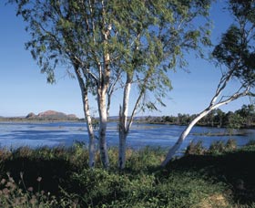 Celebrity Tree Park Kununurra