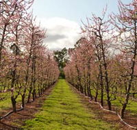 Raeburn Orchards - Find Attractions