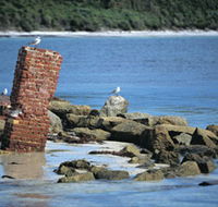 Whalers Beach - Find Attractions