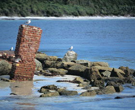 Whalers Beach - Find Attractions 0