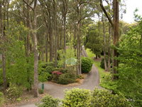 Mount Lofty Botanic Garden