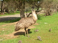 Book Clayton Bay Accommodation Vacations Find Attractions Find Attractions