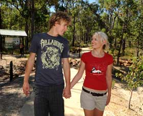 Crooked Brook Forest - Find Attractions 0