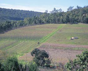 Darling Range - Find Attractions 0