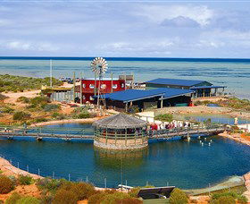Ocean Park Aquarium - Find Attractions 0