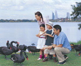 Lake Monger - Find Attractions 0