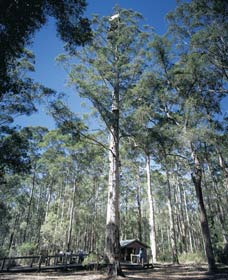 Perup WA Find Attractions