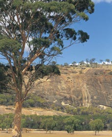 Mount Stirling - Find Attractions 0