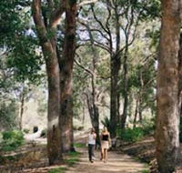Law Trail and Lotterywest Federation Walkway Kings Park - Find Attractions