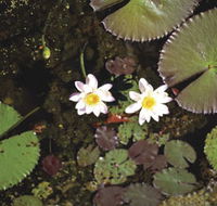 Parry Lagoons Nature Reserve - Find Attractions