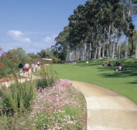 Kings Park Free Guided Walks - Find Attractions