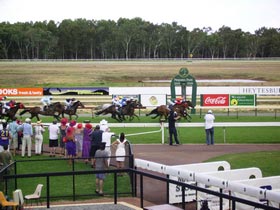 Pinjarra Race Club - Find Attractions 0