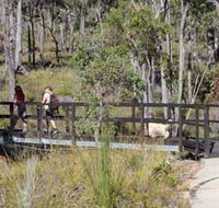 Forest Path Crooked Brook - Find Attractions