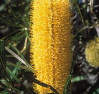 Moore River National Park - Find Attractions