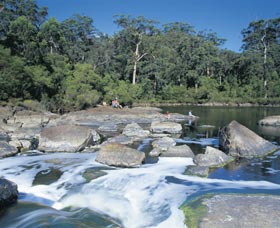 Frankland River - Find Attractions 0