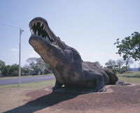 Crocodile Statue