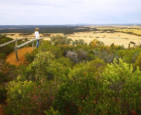 Archer Drive Scenic Drive And Lookout - Find Attractions 0