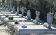 Corrigin Dog Cemetery - thumb 0
