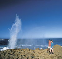 The Blowholes Carnarvon - Find Attractions