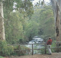 Cascades - Find Attractions