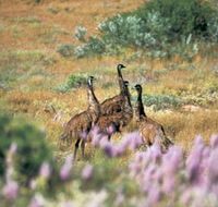 Jurabi Coastal Reserve - Find Attractions