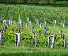 Sienna Estate Winery Yallingup