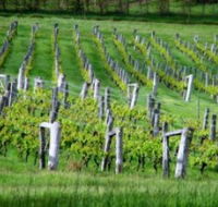 Sienna Estate Winery - Find Attractions