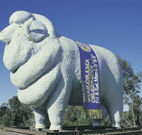 Giant Ram Tourist Park - Find Attractions
