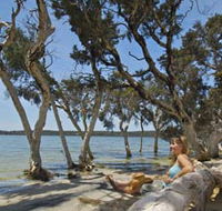 Stokes National Park - Find Attractions