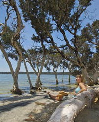 Stokes National Park