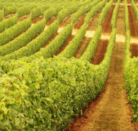 Darlington Estate Winery and Restaurant - Find Attractions