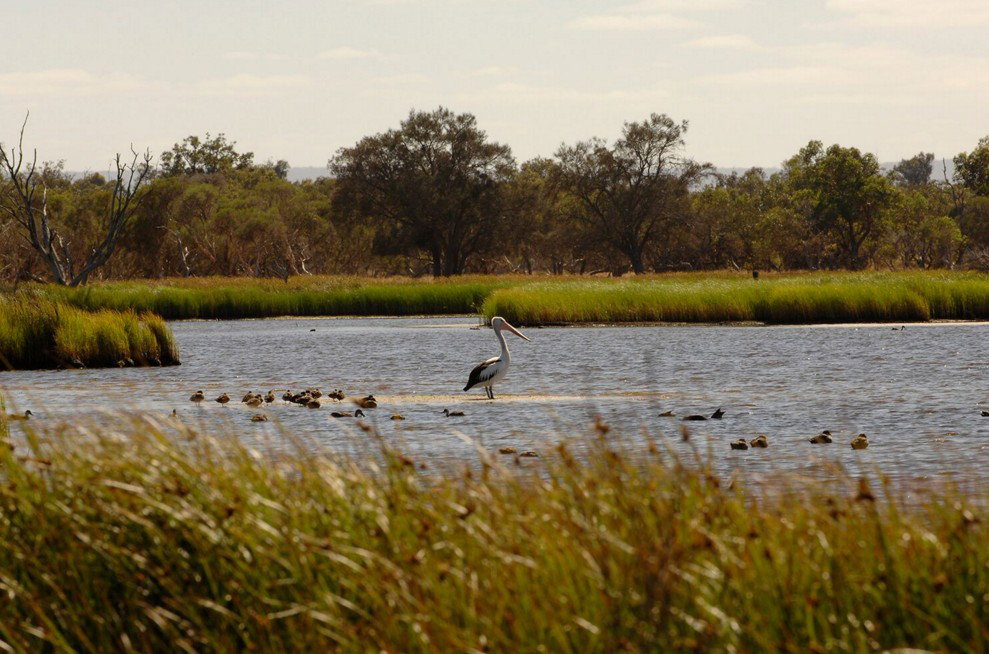 Anytime Adventures in Mandurah  the Peel Region Mandurah