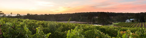 Aravina Estate - Find Attractions 0