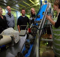 Eyre Peninsula's Seafood Trail - Find Attractions